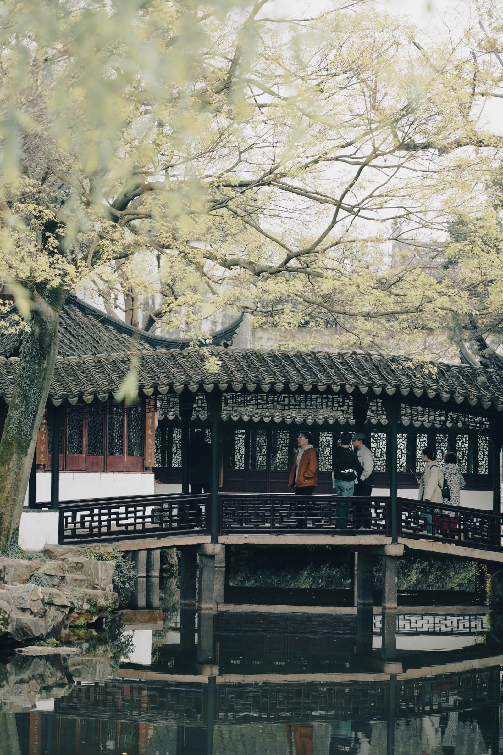 风光 144