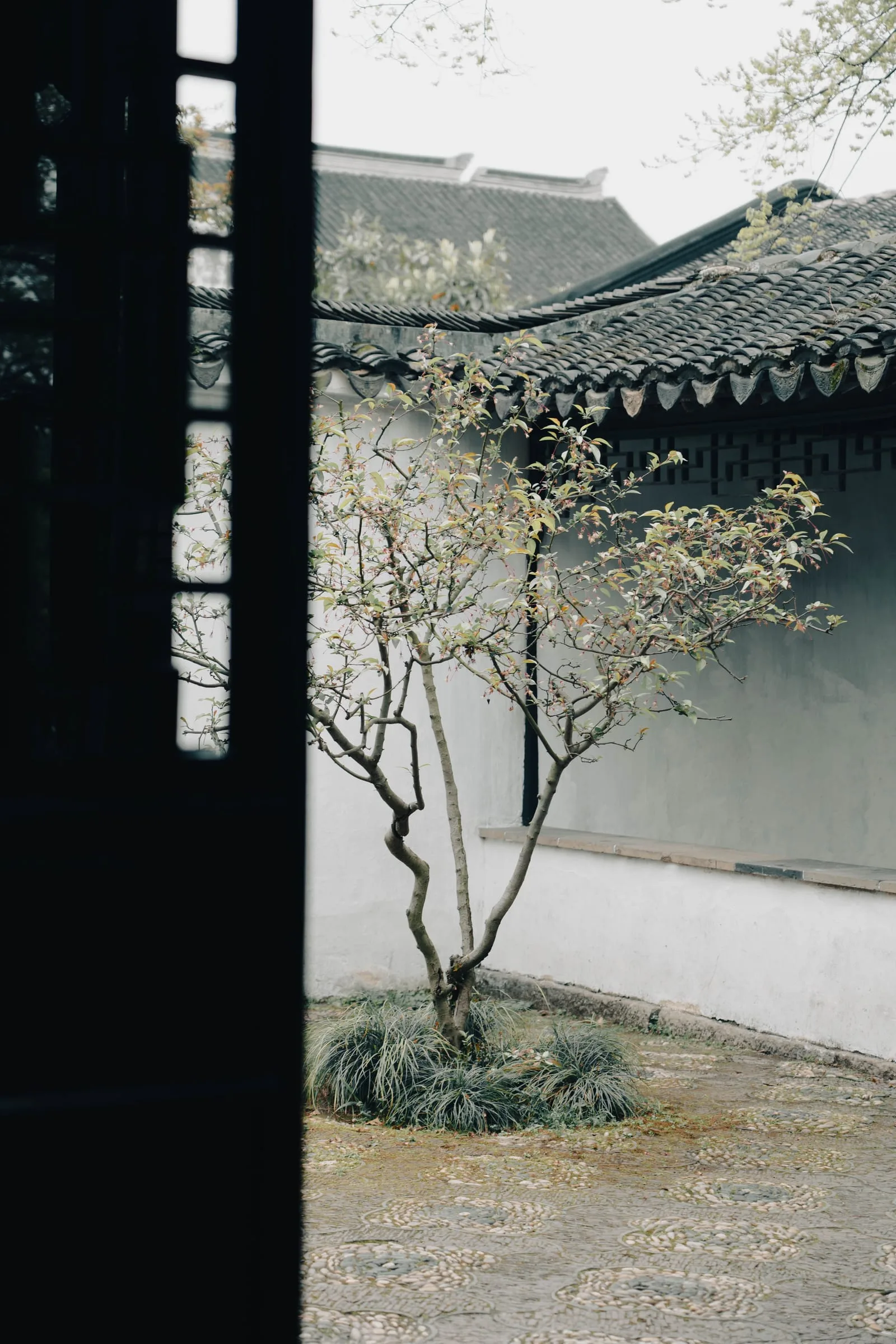 风光 146