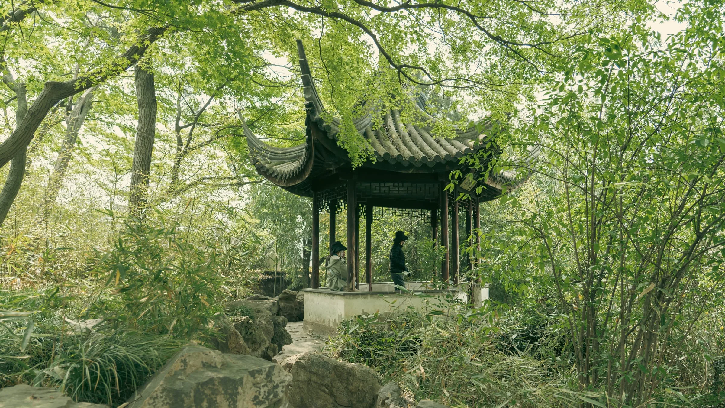 风光 162